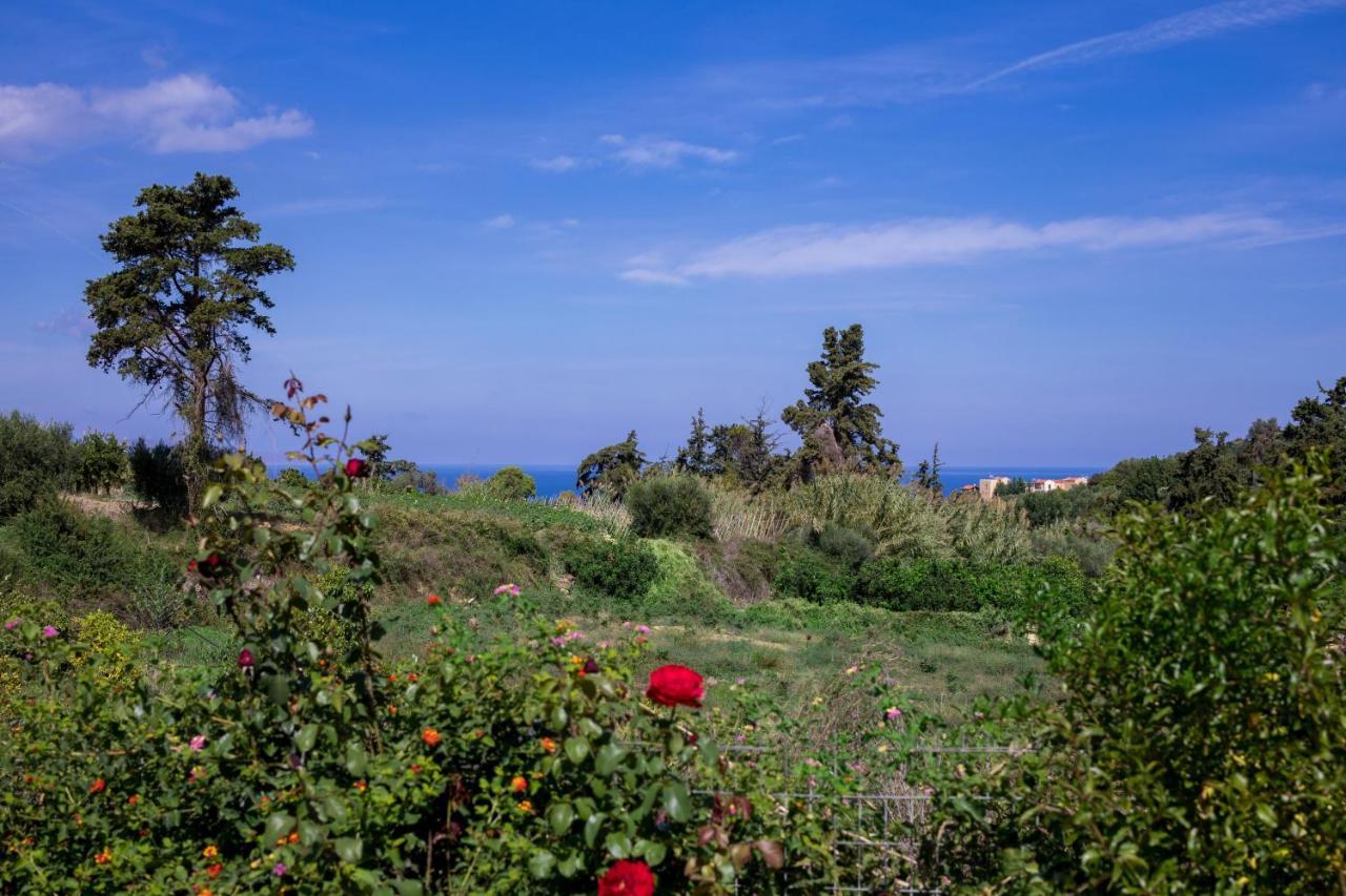The Olive House Villa Kondomári Kültér fotó
