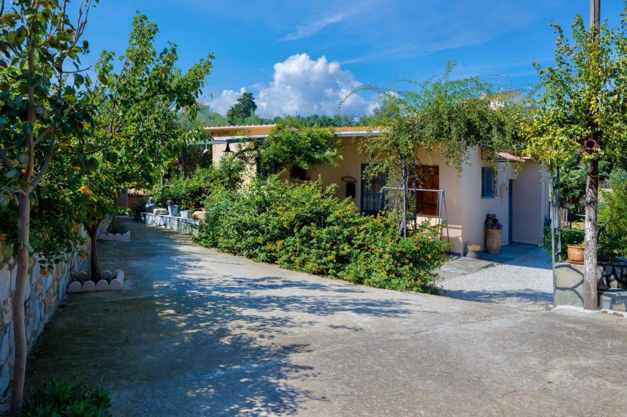 The Olive House Villa Kondomári Kültér fotó